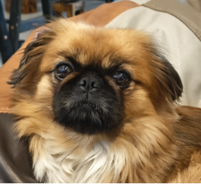 Agence de design à Paris – Paris – Insta img8 – agence design Paris • branding